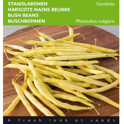 phaseolus-vulgaris-gondola