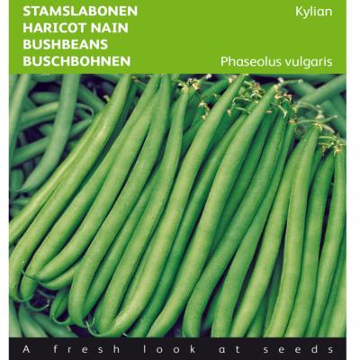 phaseolus-vulgaris-kylian