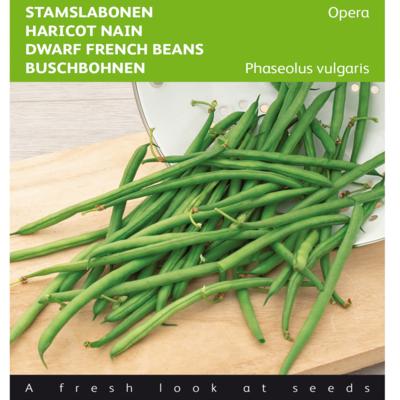 phaseolus-vulgaris-opera