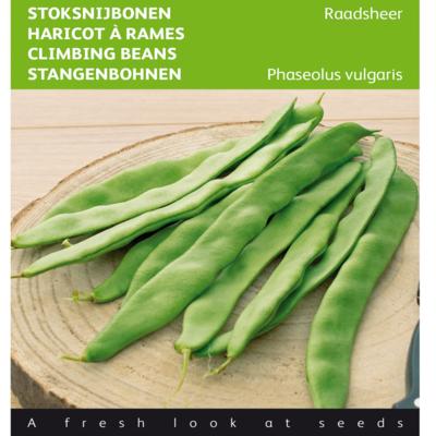 phaseolus-vulgaris-raadsheer