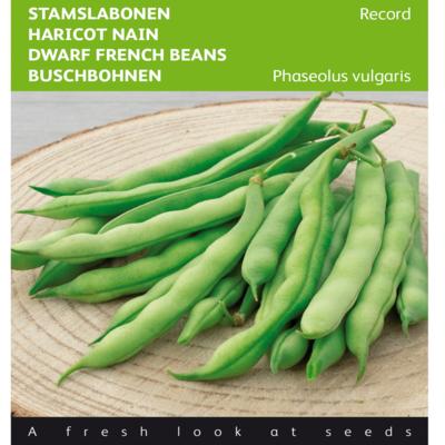 phaseolus-vulgaris-record