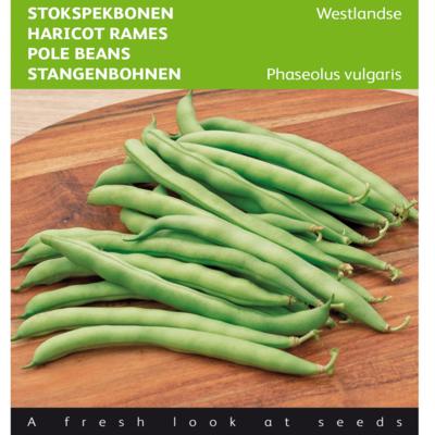 phaseolus-vulgaris-westlandse-dubbele