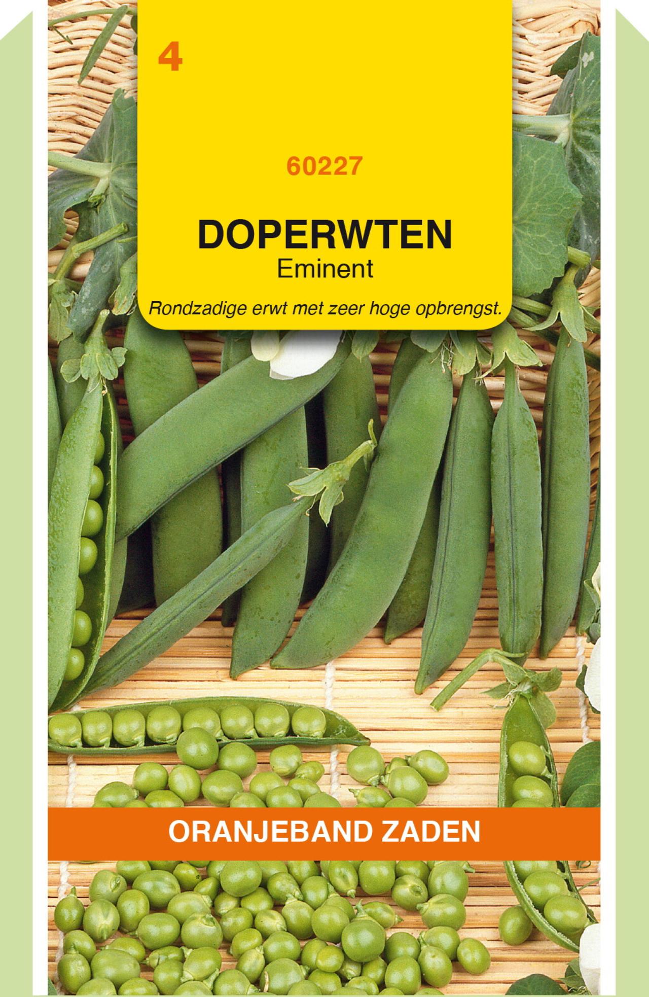 pisum-sativum-eminent Pisum sativum 'Eminent' plant