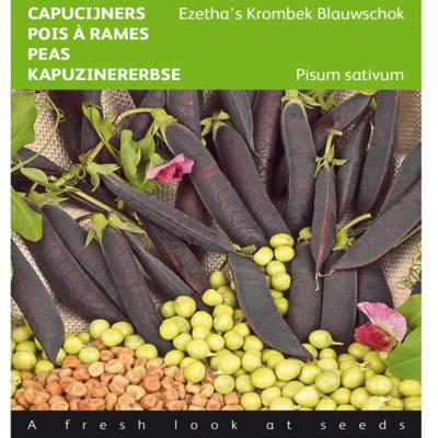 pisum-sativum-ezethas-krombek-blauwschok