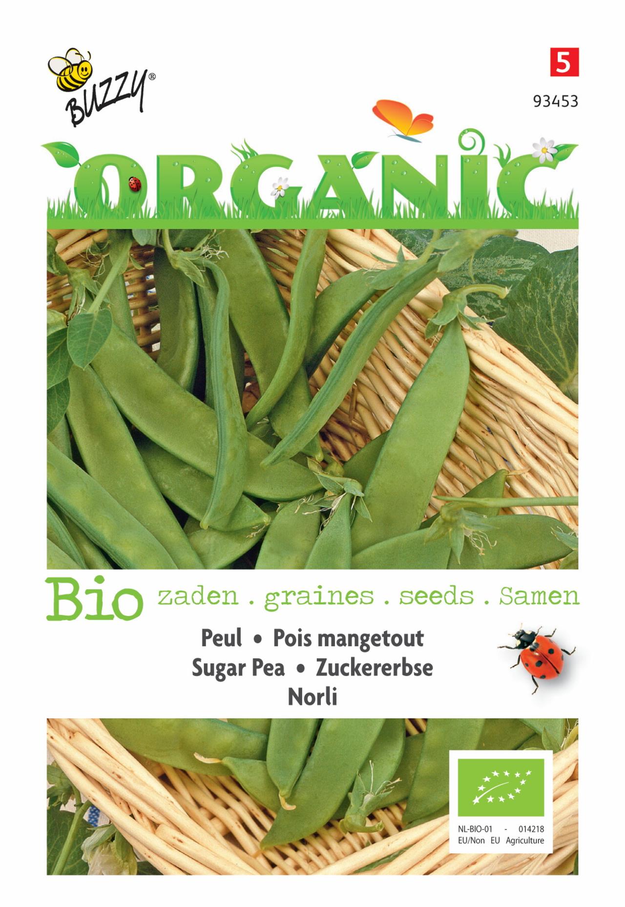 pisum-sativum-norli-bio Pisum sativum 'Norli' (BIO) plant