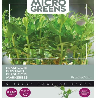 pisum-sativum-peashoots-microgreens