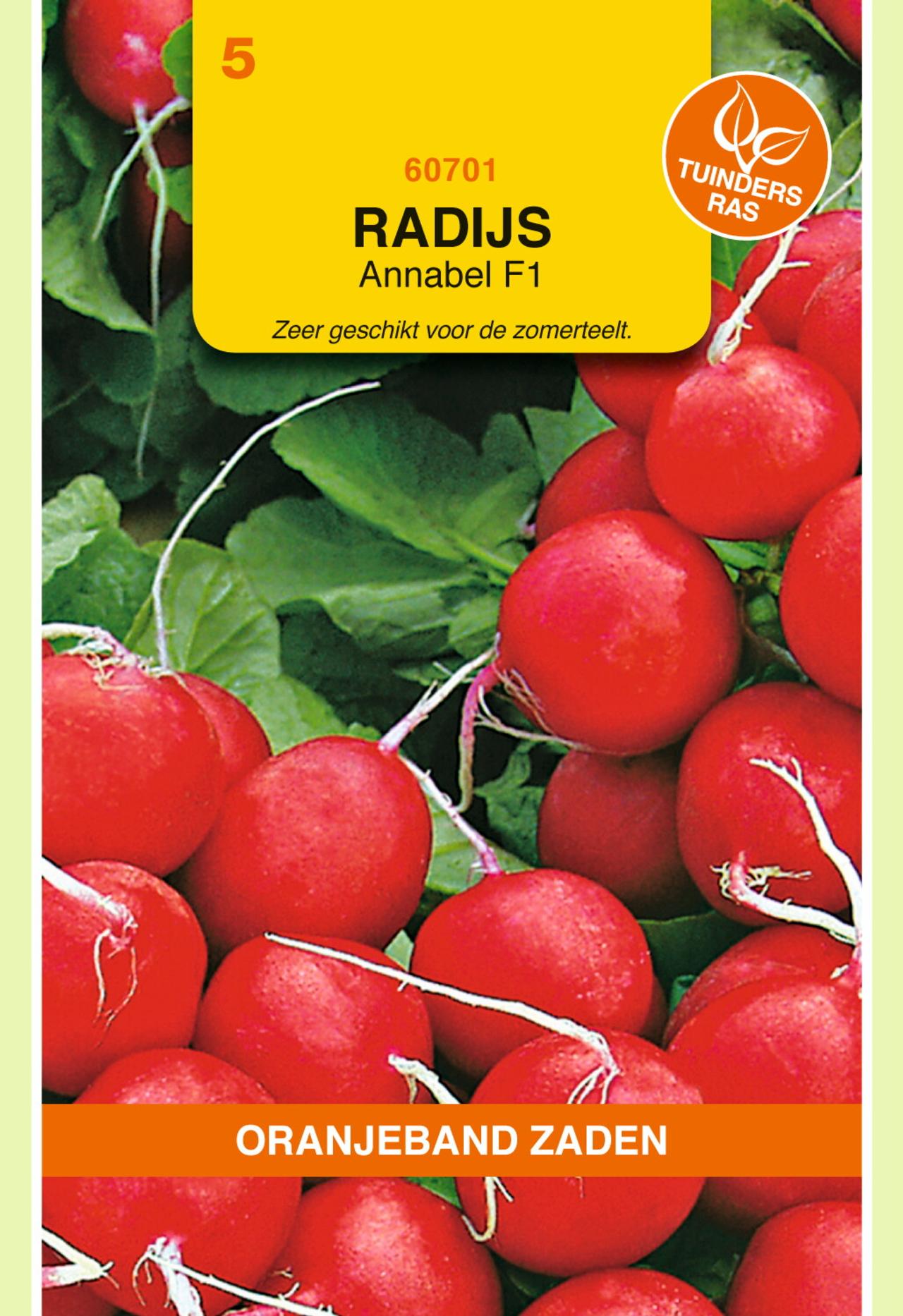 raphanus-sativus-annabel-f1 Raphanus sativus 'Annabel F1' plant