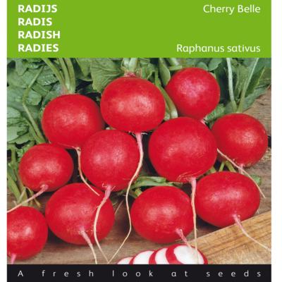 raphanus-sativus-var-sativus-cherry-belle