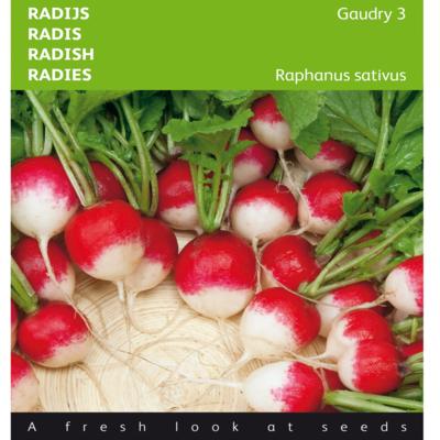 raphanus-sativus-var-sativus-gaudry-3