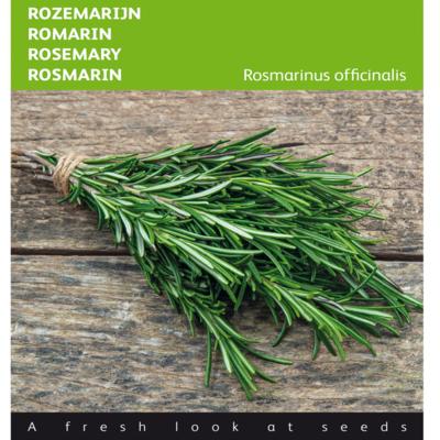 rosmarinus-officinalis