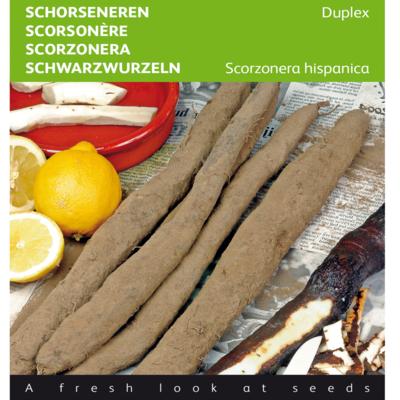 scorzonera-hispanica-duplex