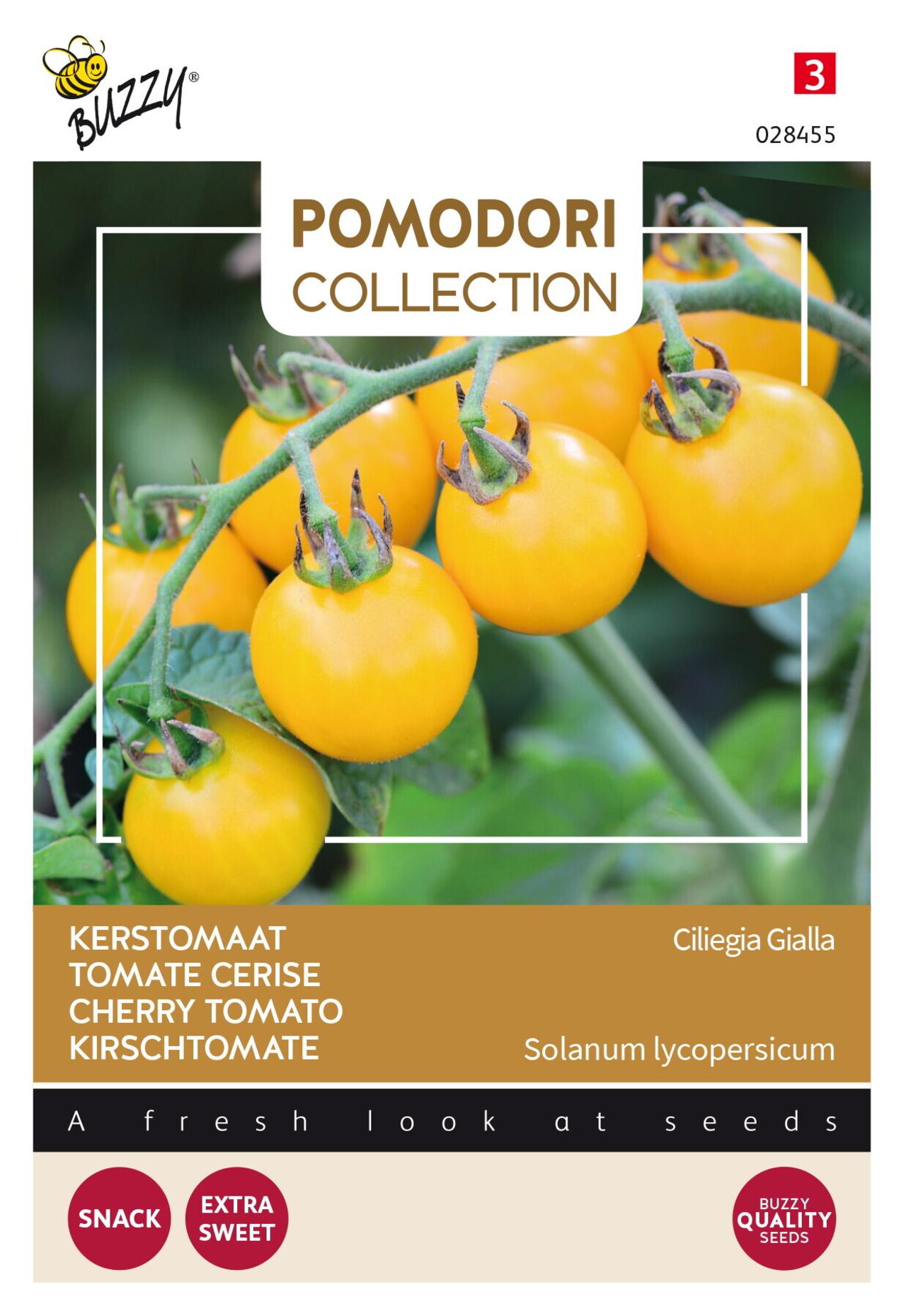 Solanum lycopersicum 'Ciliegia Gialla' plant