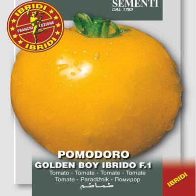 solanum-lycopersicum-golden-boy-hy-f1