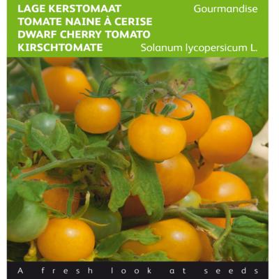 solanum-lycopersicum-gourmandise