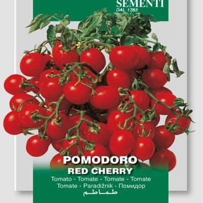 solanum-lycopersicum-red-cherry