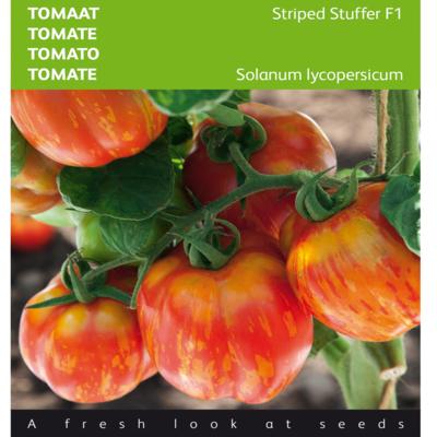 solanum-lycopersicum-striped-stuffer-f1