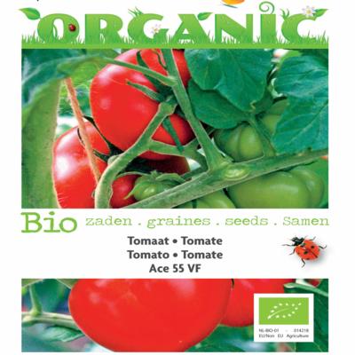 solanum-lycopersicum-tomaten-ace-55-vf-bio