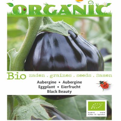 solanum-melongena-black-beauty-bio