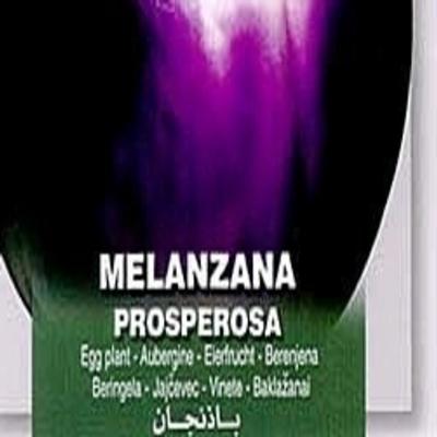 solanum-melongena-prosperosa