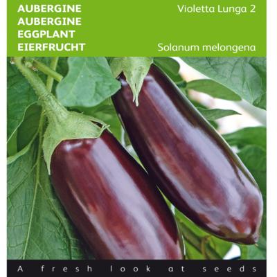 solanum-melongena-violetta-lunga-2