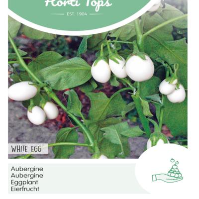 solanum-melongena-white-eggs