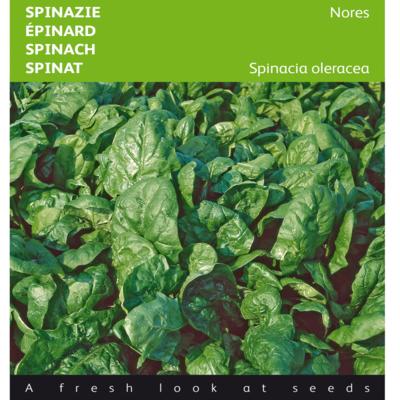 spinacia-oleracea-nores