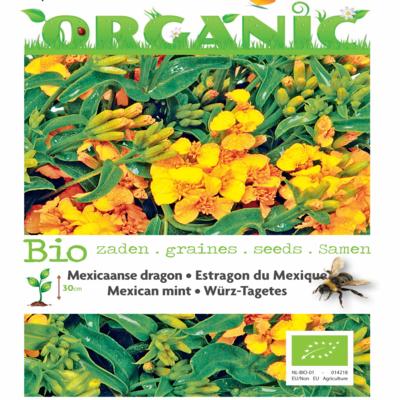 tagetes-lucida-bio