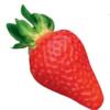Fragaria x ananassa 'Mariguette' plant
