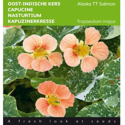 tropaeolum-majus-alaska-tt-salmon