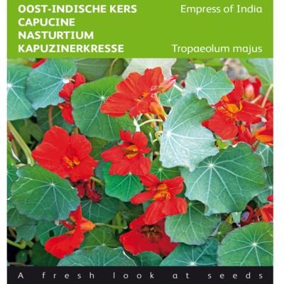 tropaeolum-majus-empress-of-india