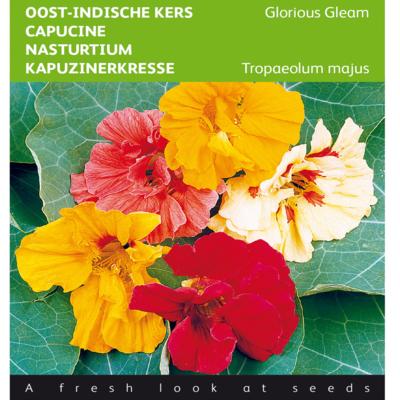 tropaeolum-majus-glorious-gleam