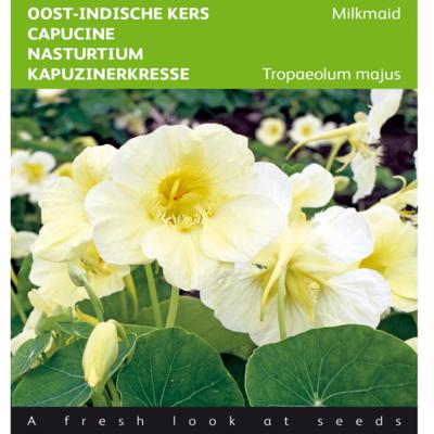 tropaeolum-majus-milkmaid