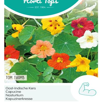 tropaeolum-majus-nanum-tom-thumb