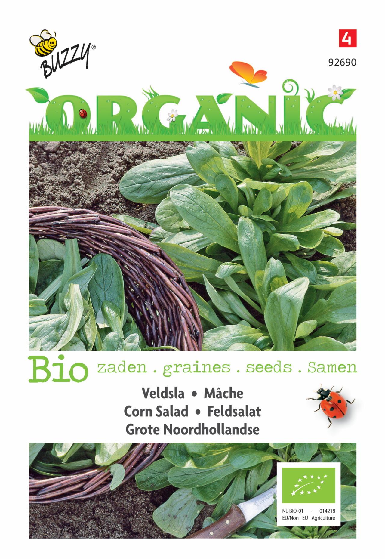 Valerianella locusta 'Grote Noordhollandse' (BIO) plant