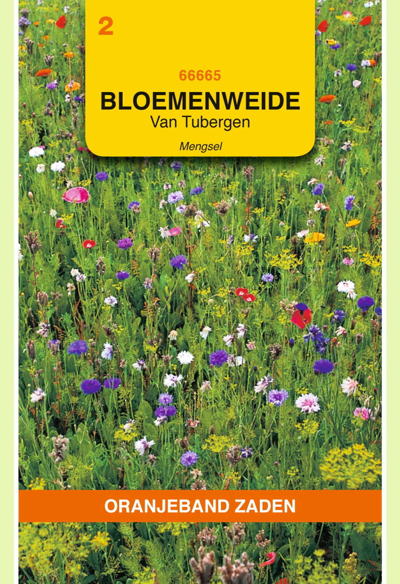 Van Tubergen bloemenweide mengsel plant