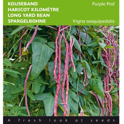 vigna-unguiculata-ssp-sesquipedalis-paars