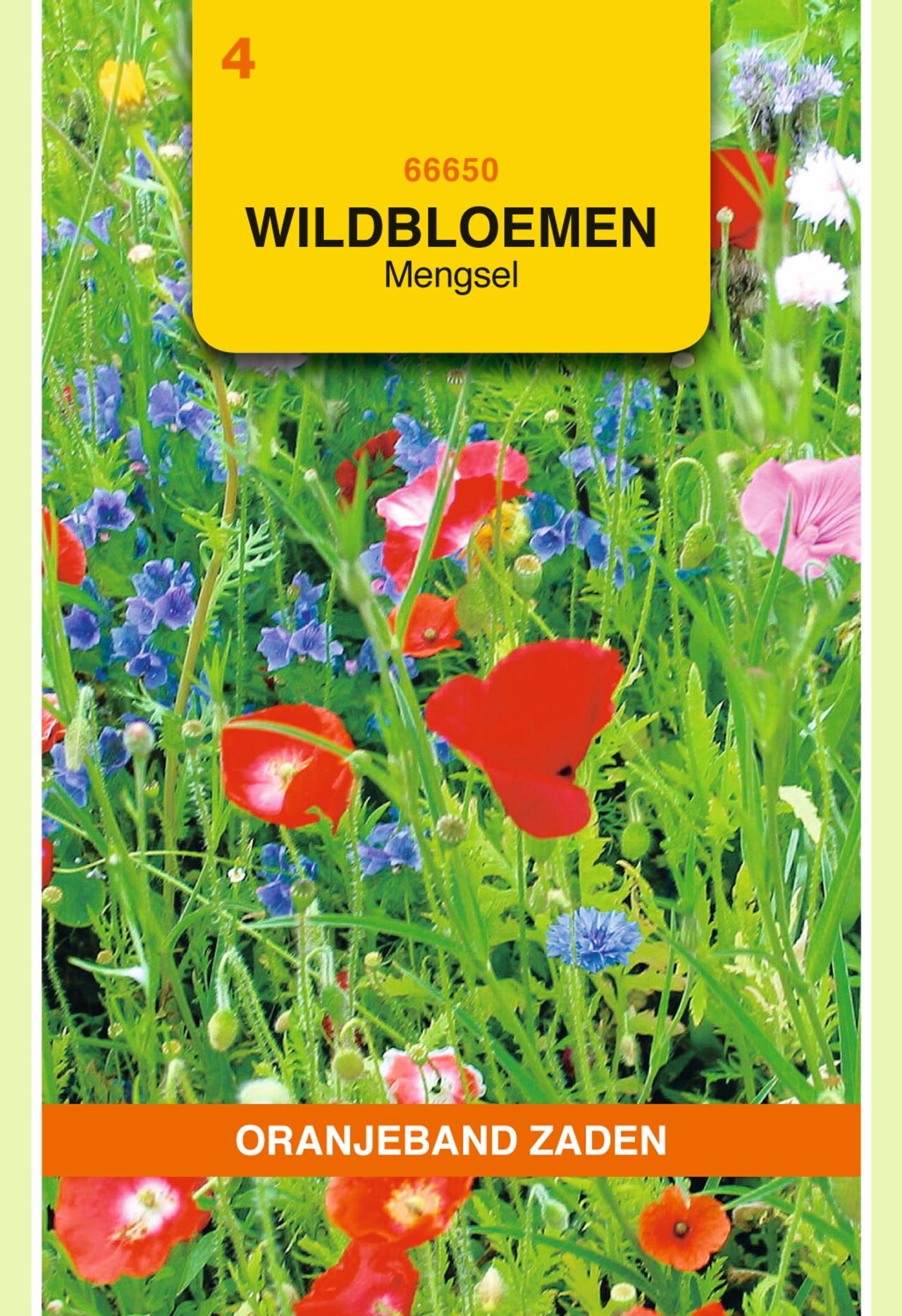 Wildbloemen mengsel eenjarig - 10 m² plant