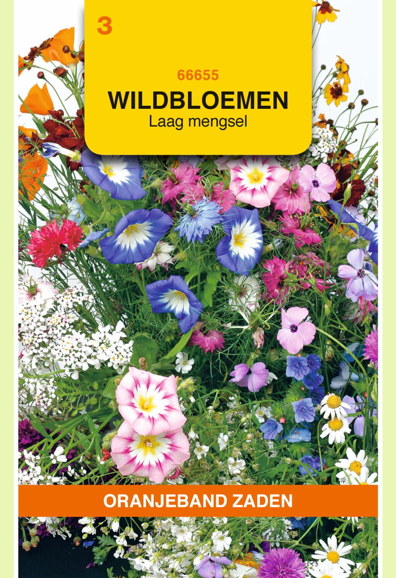 Wildbloemen mengsel eenjarig, laag plant