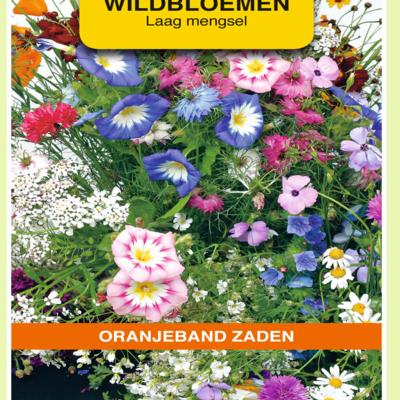 wildbloemen-mengsel-eenjarig-laag