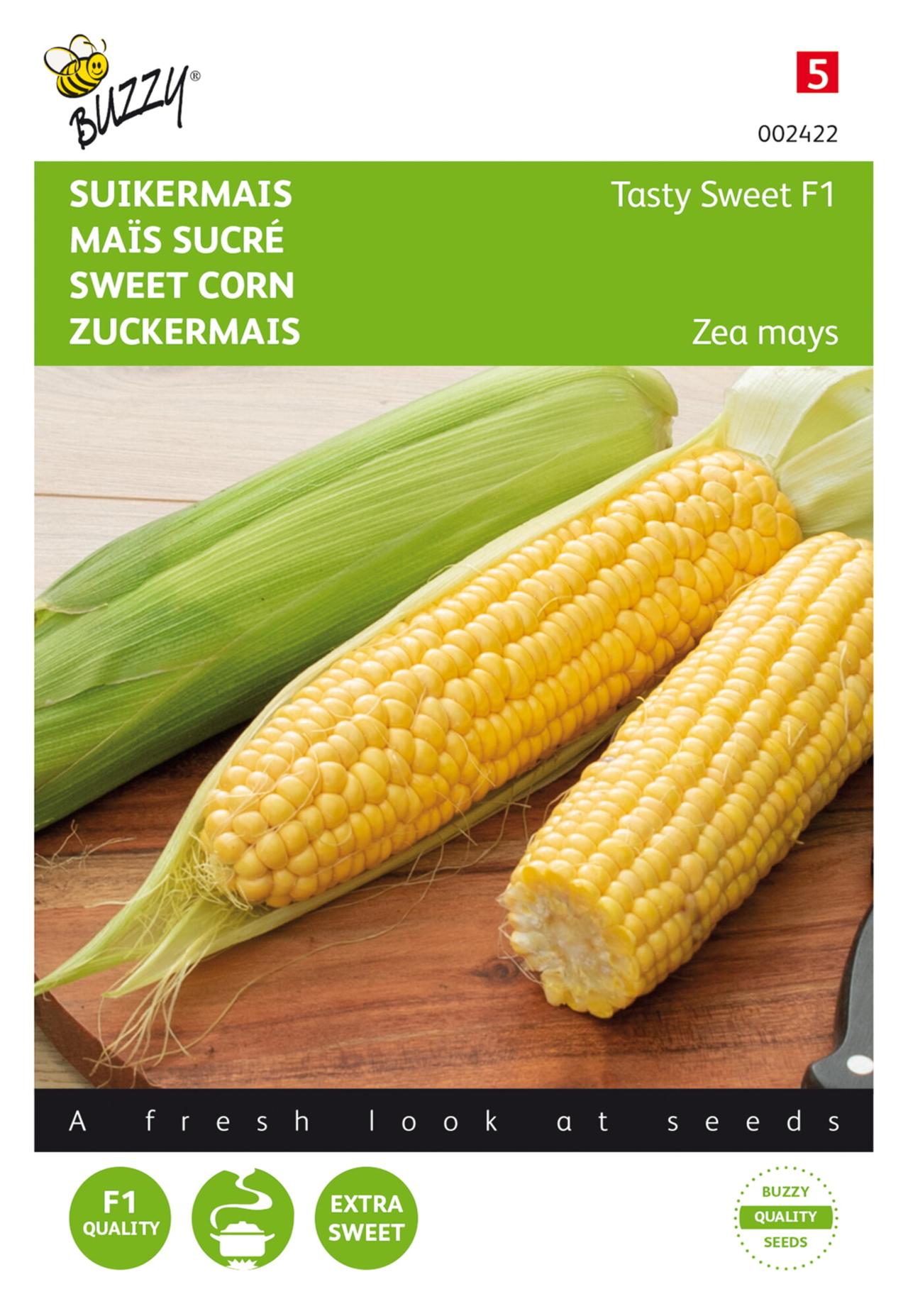 Zea mays 'Tasty Sweet F1' plant